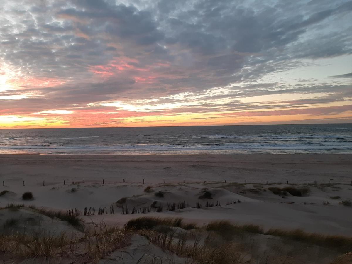 Boshuisje Petten Aan Zee Kültér fotó